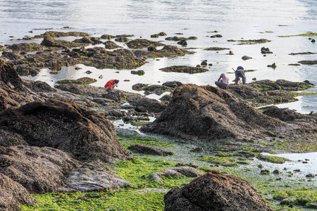 Dalian evening city buildingの写真素材