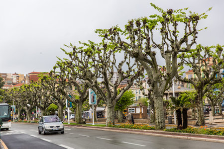 Cannes, France streetのeditorial素材