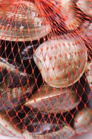 Oyster in a net bagの写真素材