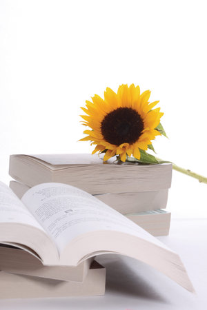 Stack of books with sunflowerの写真素材