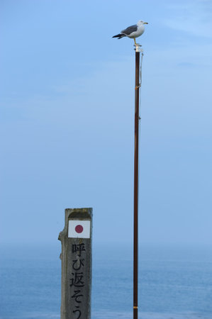 Spot, Cape Nosappu, Japan