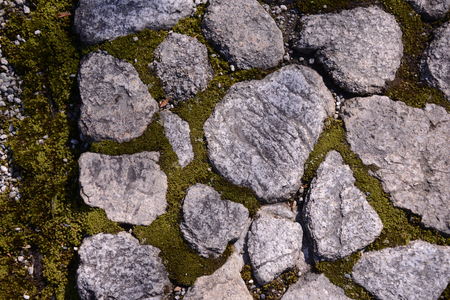 Spot,Back Garden,National Treasure Tea House,JO-AN,Japanの写真素材