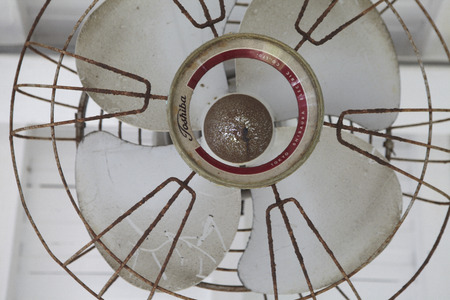 fanのeditorial素材