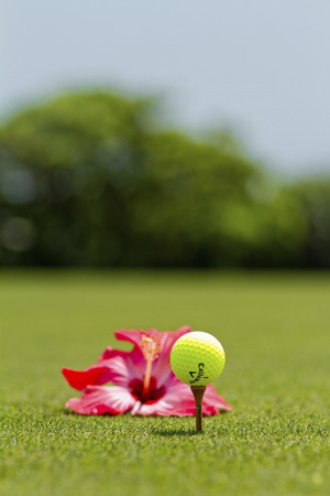 golf ballのeditorial素材
