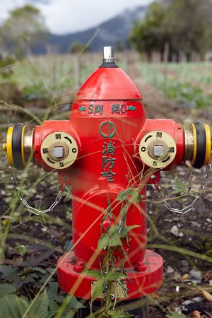fire hydrantのeditorial素材
