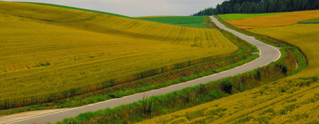 wheat land Hokkaido Japan