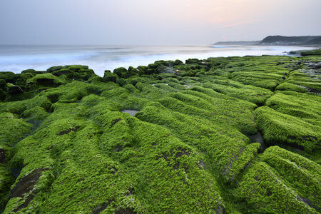 Laomei Green Reef in Shihmen