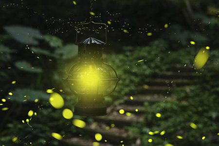 The firefly in the Oil lamp at the Magic Night Tucheng