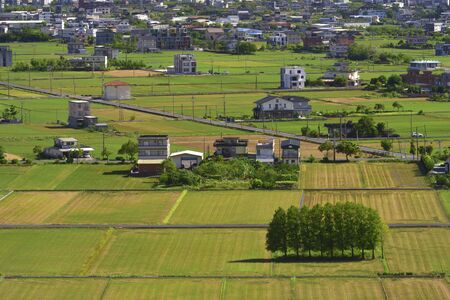 bird view of farmlandのeditorial素材