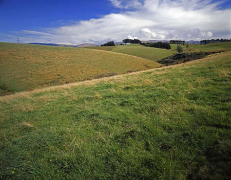 New Zealand South Island Clintonの写真素材