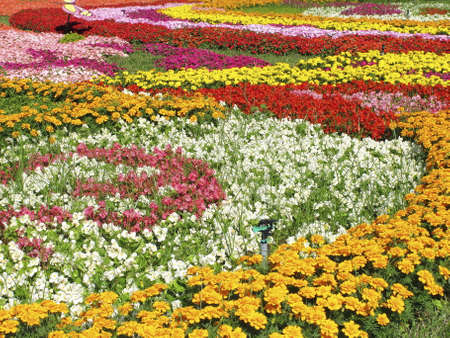 beauty of Taichung Taiwanの写真素材