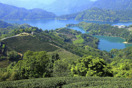 Beauty of nature in New Taipei Taiwanの写真素材