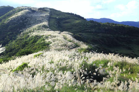 Beauty of nature in New Taipei Taiwanの写真素材