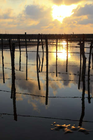 beauty of Changhua Taiwanの写真素材