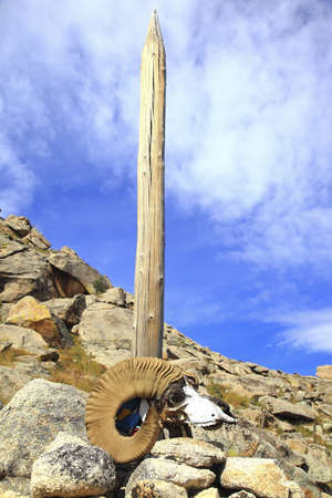 travel in Mongoliaの写真素材