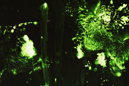 green Abstract texture on black backgroundの写真素材