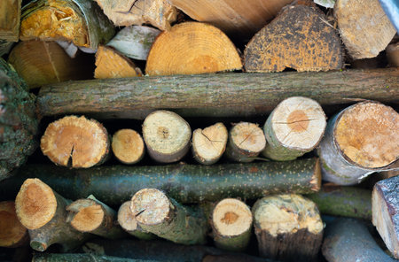Split firewood used to heat a farm house and the farm's greenhouses.の写真素材