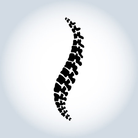 Human spine. Isolated. Spine medical center, clinic  element. Flat modern silhouette illustration.のイラスト素材