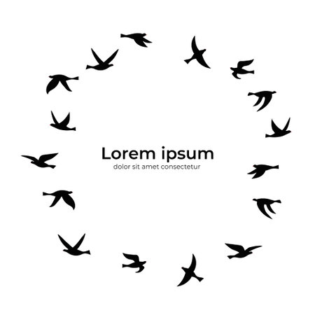 Vector template design with silhouettes of flock of birds. Banner with black isolated flat contour of flying birds and text place. Design element for logo, print, card, flyer, fabric, poster.のイラスト素材