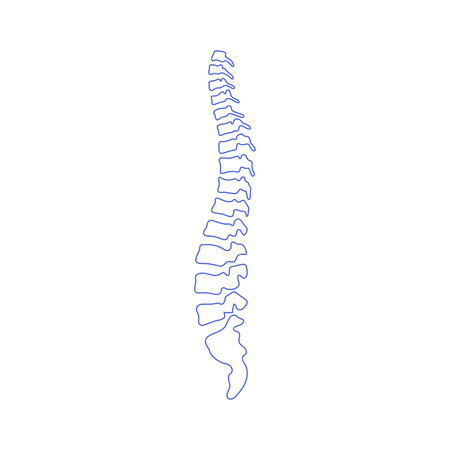 Vector human spine isolated silhouette illustration. Spine pain medical center, clinic, institute, rehabilitation, diagnostic, surgery icon element. Spinal icon symbol design. Concept of scoliosisのイラスト素材