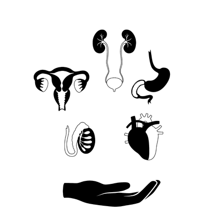 Vector isolated illustration of human organs for transplantation. Stomach, liver, bone, intestine, bladder, lung, testicle, uterus, spine, eye, pancreas icon. Internal donor organ. Medical posterのイラスト素材
