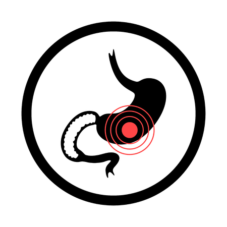 Vector isolated illustration of stomach anatomy. Human digestive system icon. Healthcare medical center, surgery, hospital, clinic, diagnostic icon. Internal organ symbol poster design. Donationのイラスト素材