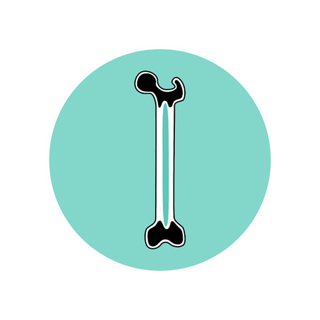 Vector isolated illustration of bone anatomy. Human bone marrow transplant icon. Bone structure details. Internal donor organ symbol. Donation. Healthcare medical poster designのイラスト素材