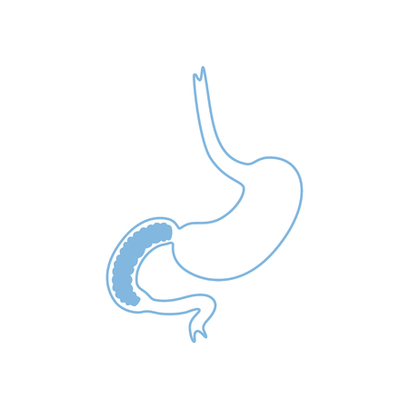 Vector isolated illustration of stomach anatomy. Human digestive system icon. Healthcare medical center, surgery, hospital, clinic, diagnostic icon. Internal organ symbol poster design. Donationのイラスト素材