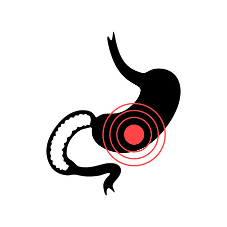 Vector isolated illustration of stomach anatomy. Human digestive system icon. Healthcare medical center, surgery, hospital, clinic, diagnostic icon. Internal organ symbol poster design. Donationのイラスト素材