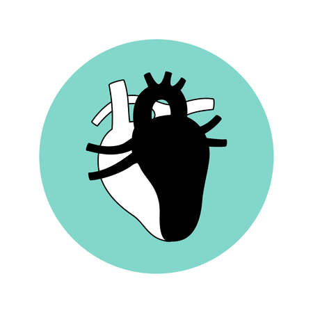 Vector isolated illustration of heart anatomy.  Human circulatory system icon. Healthcare medical center, surgery, hospital, clinic, diagnostic icon. Internal donor organ symbol poster design.のイラスト素材