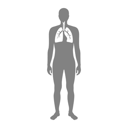 Vector isolated illustration of lung anatomy. Human respiratory system icon. Healthcare medical center, surgery, hospital, clinic, diagnostic . Internal donor organ symbol poster design. donationのイラスト素材