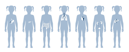 Vector isolated illustration of child internal organs in girl body. Stomach, liver, intestine, bladder, lung, testicle, uterus, spine, pancreas, kidney, heart, bladder icon. Donor medical posterのイラスト素材