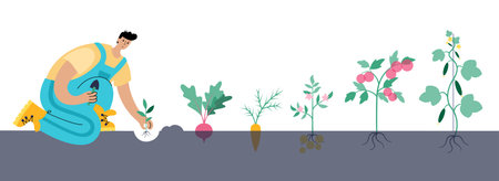 Man in overalls plants potato, beet, carrot, tomato, cucumber. Flat vector illustration on white background. Male cartoon action character. Gardening and healthy food concept for posterのイラスト素材