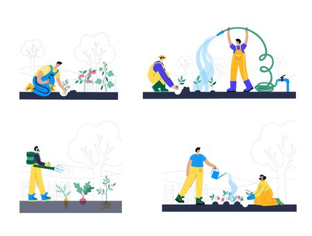 People plant, water and fertilize the sprouts. Growing vegetable, strawberry, potato, beet, tomato, carrot, cucumber. Adult male cartoon action characters. Gardening concept for poster, banner
のイラスト素材