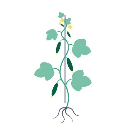 Garden work concept vectorのイラスト素材