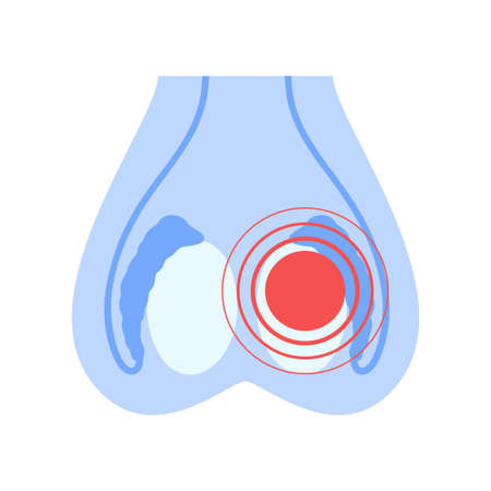 Reproductive system conceptのイラスト素材