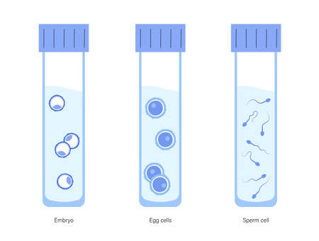 Reproductive system conceptのイラスト素材