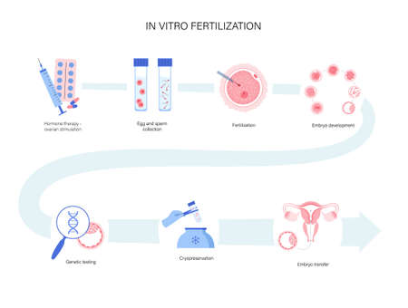 Human fertility conceptのイラスト素材