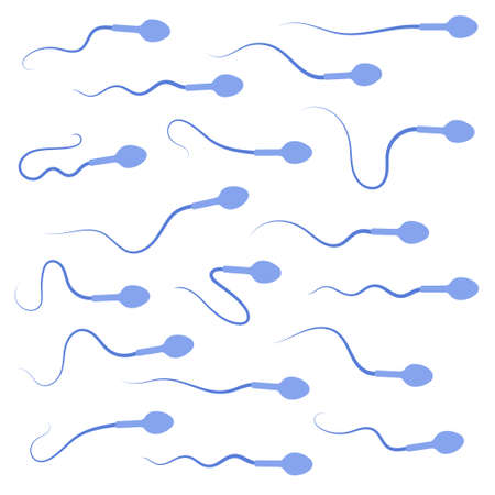 Reproductive system conceptのイラスト素材