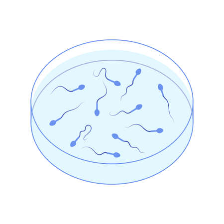 Human spermatozoa cell in Petri dishのイラスト素材
