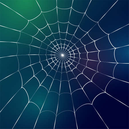 Spider web conceptのイラスト素材