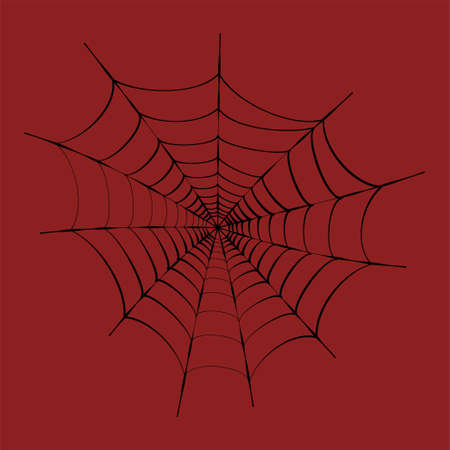 Spider web conceptのイラスト素材