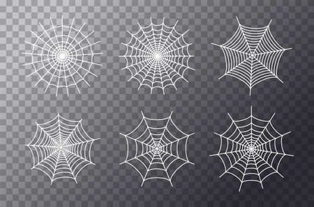 Spider web conceptのイラスト素材