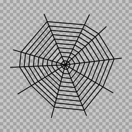 Spider web conceptのイラスト素材
