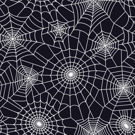 Spider web conceptのイラスト素材