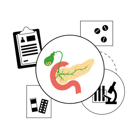 Pancreas  concept