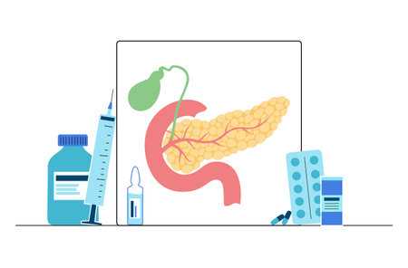 Pancreas   concept