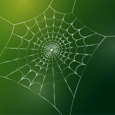 Spider web conceptのイラスト素材