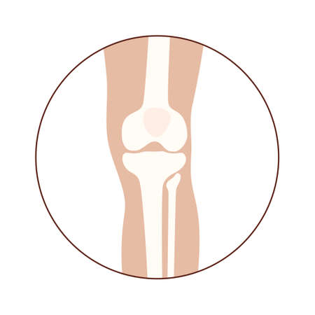 Normal bones conceptのイラスト素材