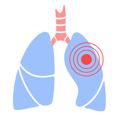 Internal human organsのイラスト素材